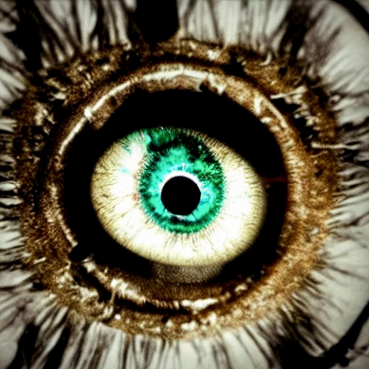 TynFinity - Photo & AI Art